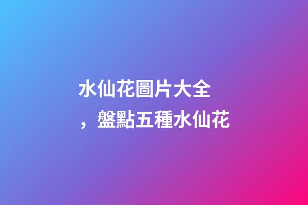 水仙花圖片大全，盤點五種水仙花-第1張-觀點-玄機派